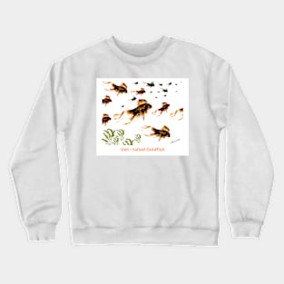 A school of Veil - tailed Goldfish. Crewneck Sweatshirt